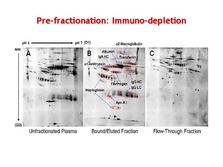 Pre-fractionation: Immuno-depletion 