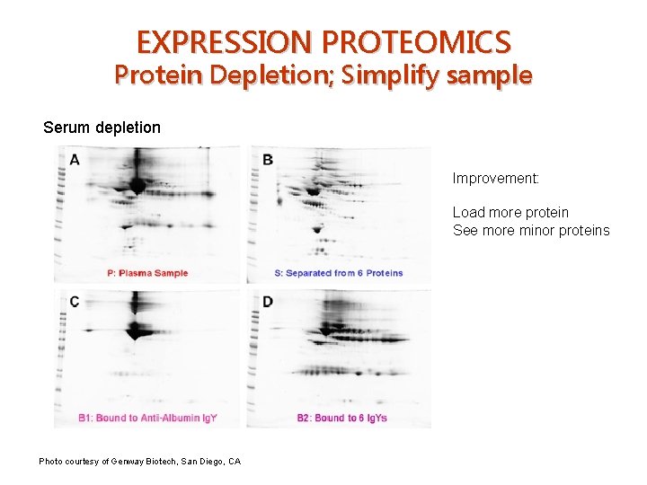 EXPRESSION PROTEOMICS Protein Depletion; Simplify sample Serum depletion Improvement: Load more protein See more