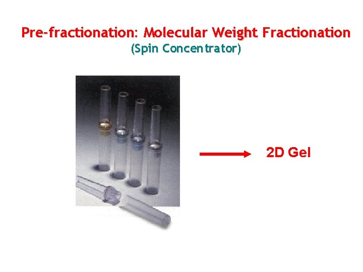 Pre-fractionation: Molecular Weight Fractionation (Spin Concentrator) 2 D Gel 