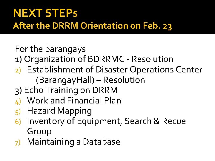 NEXT STEPs After the DRRM Orientation on Feb. 23 For the barangays 1) Organization