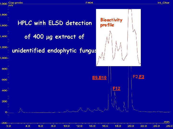 Bioactivity profile HPLC with ELSD detection of 400 mg extract of unidentified endophytic fungus