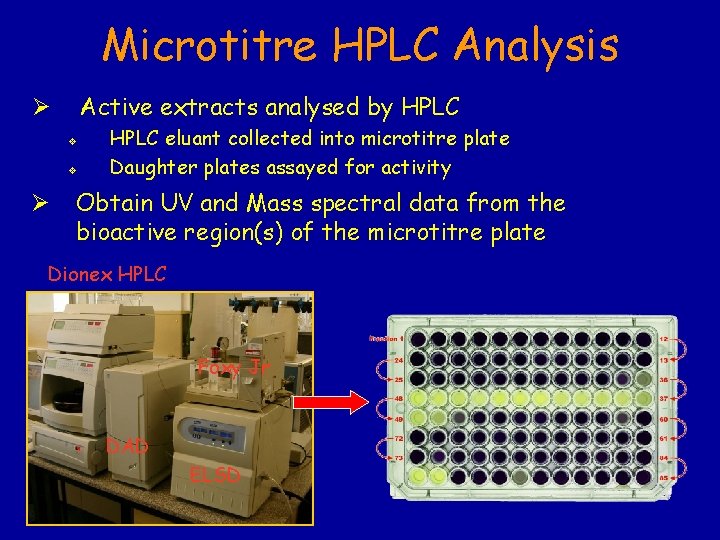 Microtitre HPLC Analysis Active extracts analysed by HPLC Ø v v Ø HPLC eluant