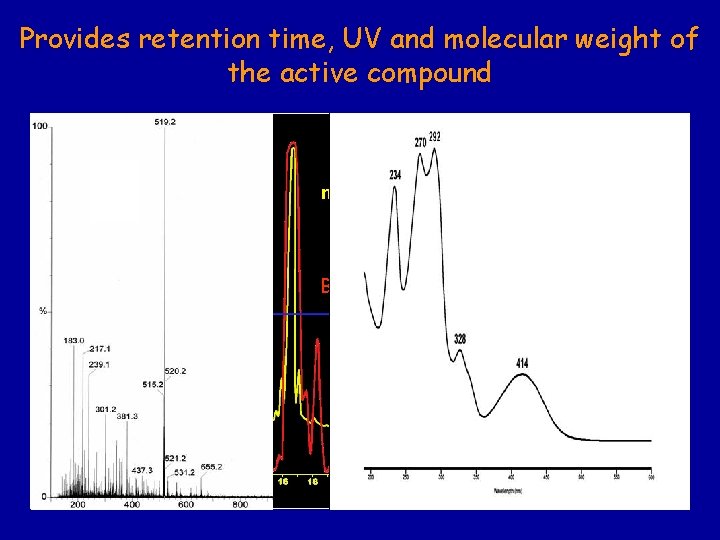 Provides retention time, UV and molecular weight of the active compound C 18 HPLC