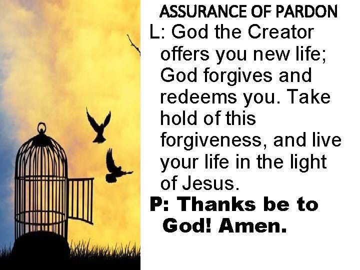 ASSURANCE OF PARDON L: God the Creator offers you new life; God forgives and