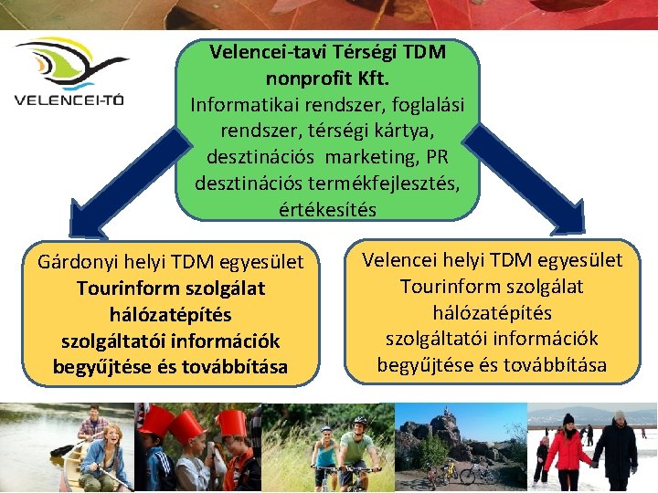 Velencei-tavi Térségi TDM nonprofit Kft. Informatikai rendszer, foglalási rendszer, térségi kártya, desztinációs marketing, PR