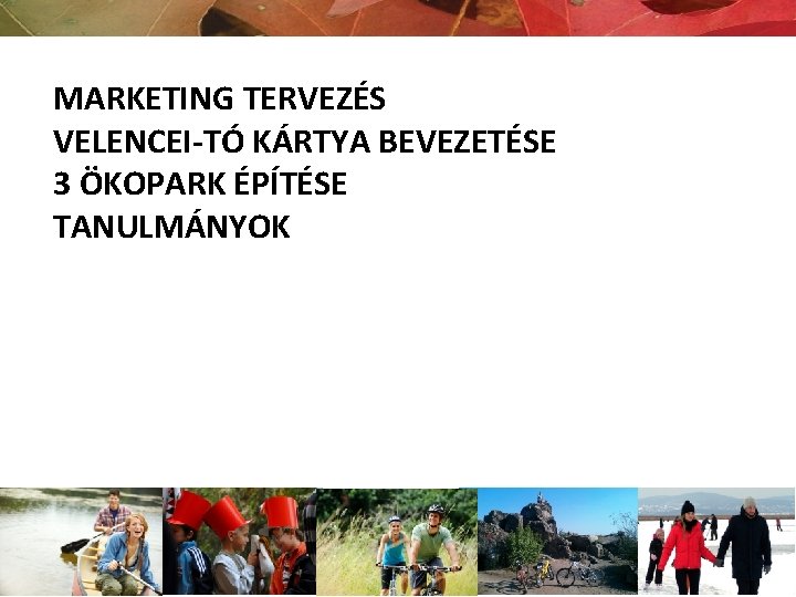 MARKETING TERVEZÉS VELENCEI-TÓ KÁRTYA BEVEZETÉSE 3 ÖKOPARK ÉPÍTÉSE TANULMÁNYOK 