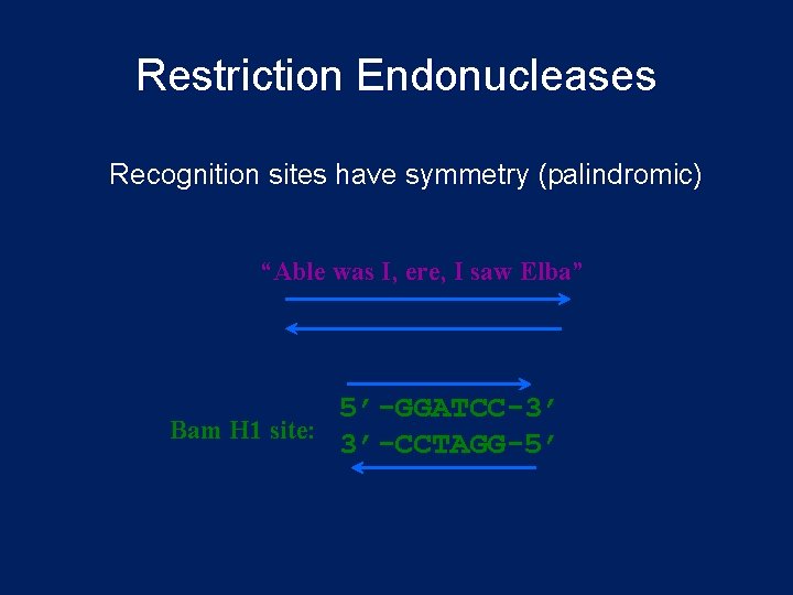 Restriction Endonucleases Recognition sites have symmetry (palindromic) “Able was I, ere, I saw Elba”