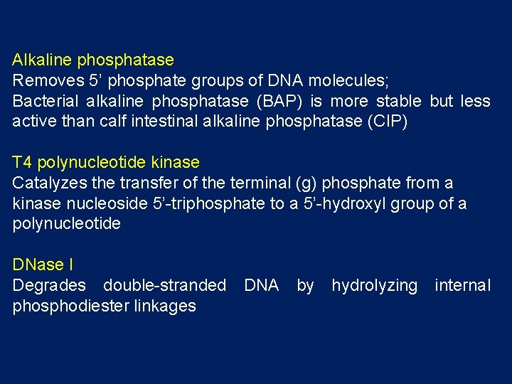 Alkaline phosphatase Removes 5’ phosphate groups of DNA molecules; Bacterial alkaline phosphatase (BAP) is