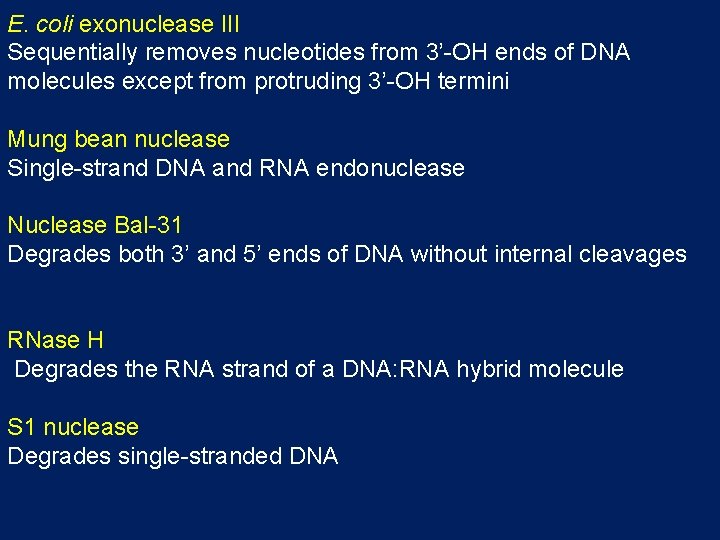E. coli exonuclease III Sequentially removes nucleotides from 3’-OH ends of DNA molecules except