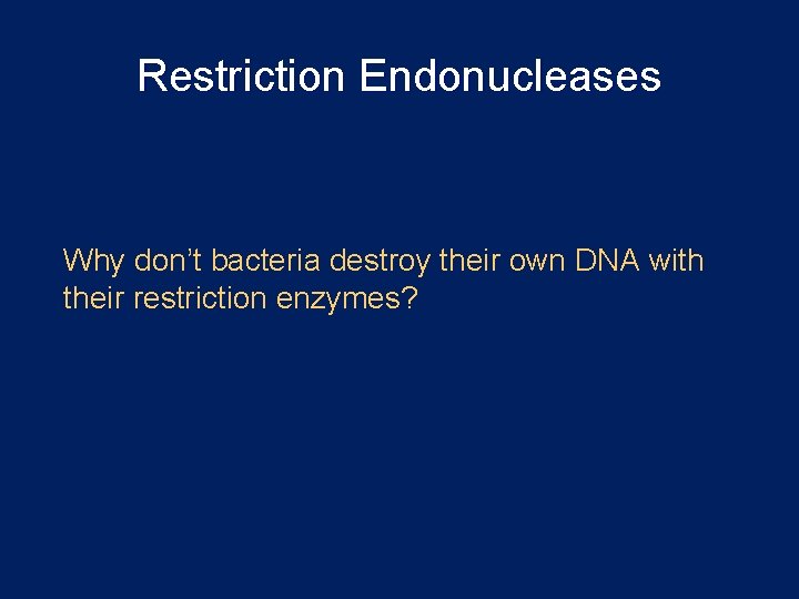 Restriction Endonucleases Why don’t bacteria destroy their own DNA with their restriction enzymes? 