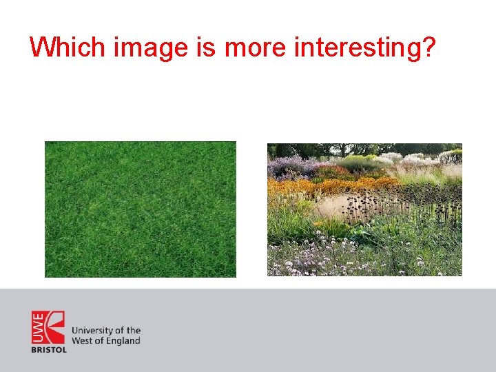 Which image is more interesting? 