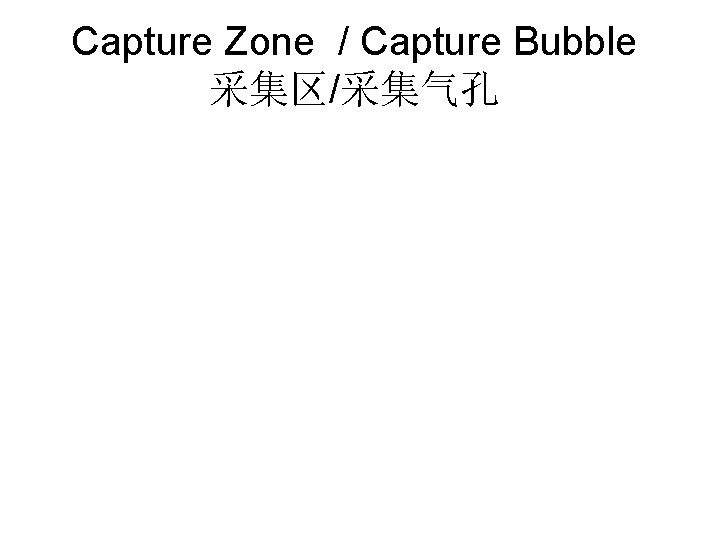 Capture Zone / Capture Bubble 采集区/采集气孔 