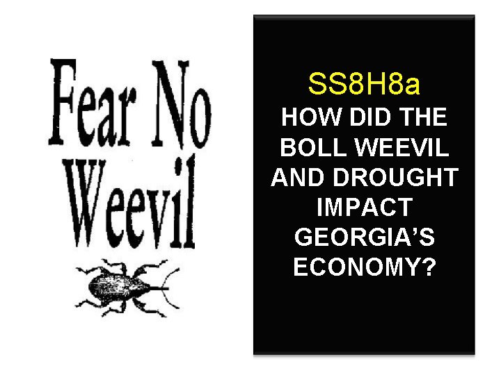 SS 8 H 8 a HOW DID THE BOLL WEEVIL AND DROUGHT IMPACT GEORGIA’S