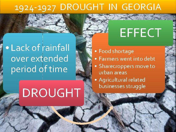 1924 -1927 DROUGHT IN GEORGIA EFFECT • Lack of rainfall over extended period of