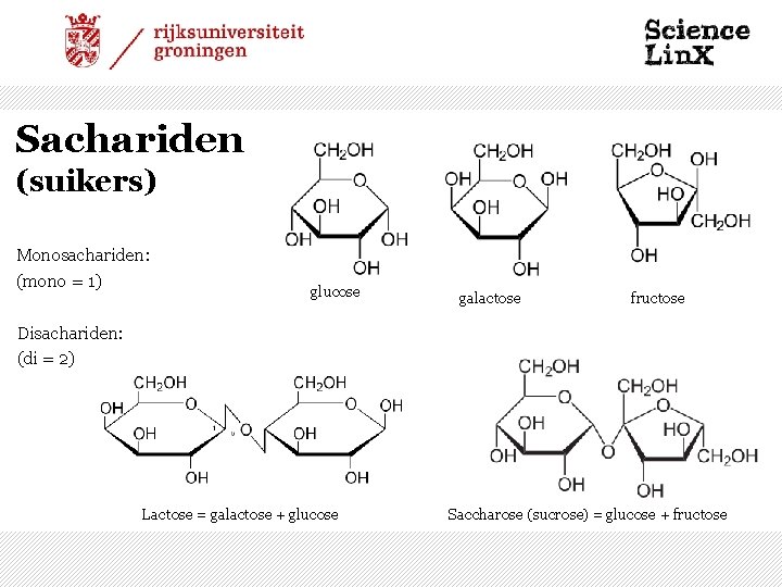 Sachariden (suikers) Monosachariden: (mono = 1) glucose galactose fructose Disachariden: (di = 2) Lactose