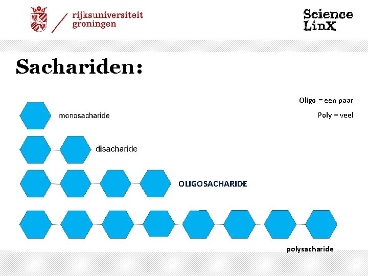 Sachariden: Oligo = een paar Poly = veel OLIGOSACHARIDE polysacharide 
