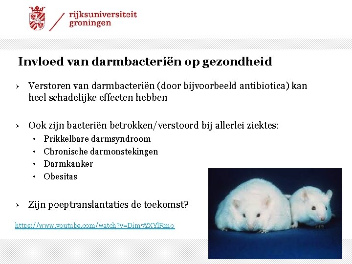 Invloed van darmbacteriën op gezondheid › Verstoren van darmbacteriën (door bijvoorbeeld antibiotica) kan heel