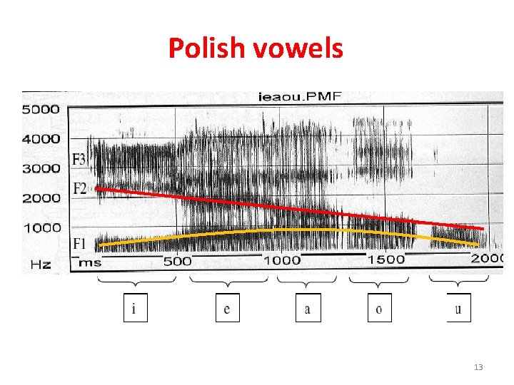 Polish vowels 13 
