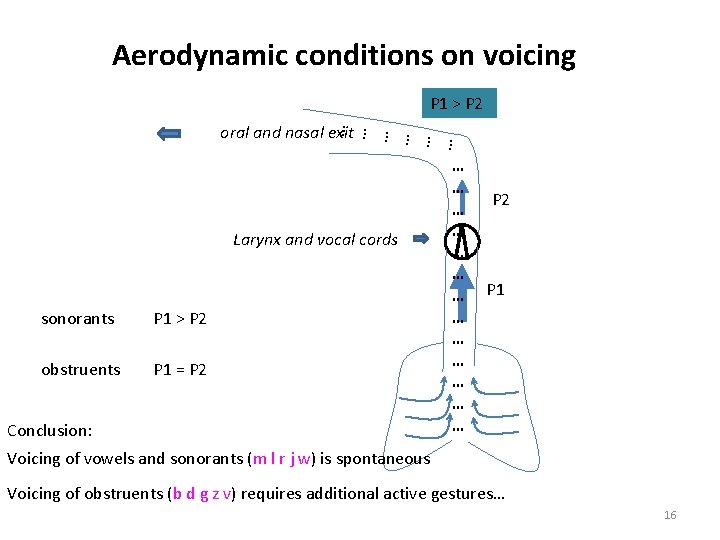 Aerodynamic conditions on voicing P 1 > P 2 … … … oral and