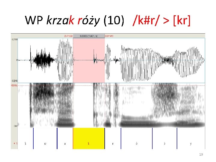 WP krzak róży (10) /k#r/ > [kr] 19 