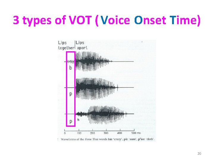 3 types of VOT ( Voice Onset Time) 20 