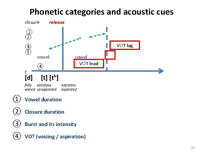 Phonetic categories and acoustic cues closure release ③ ② ④ ① t [d] VOT