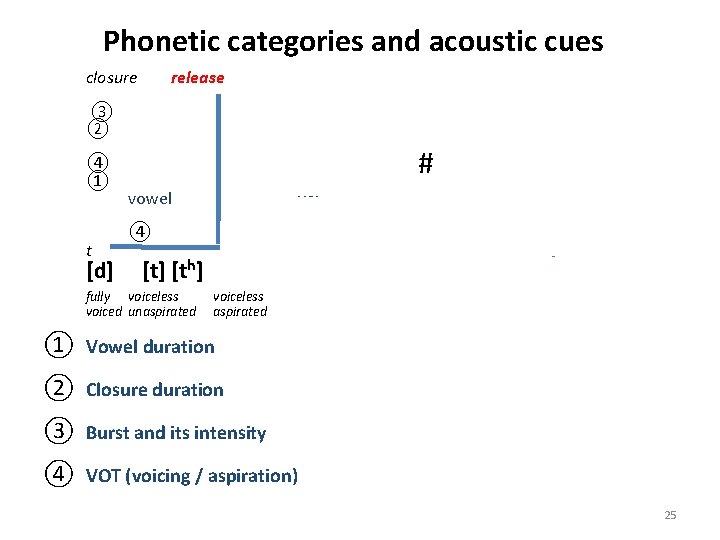 Phonetic categories and acoustic cues closure release ③ ② ④ ① t [d] #