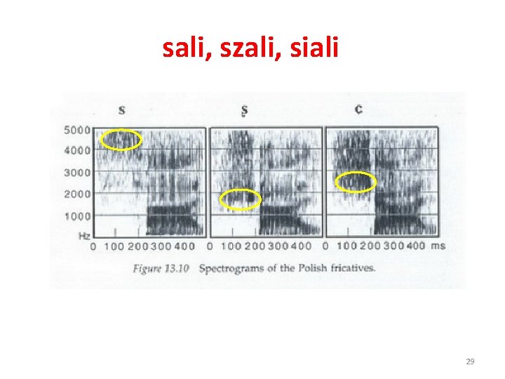 sali, szali, siali 29 