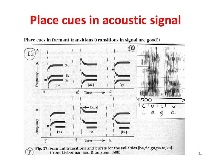 Place cues in acoustic signal 31 