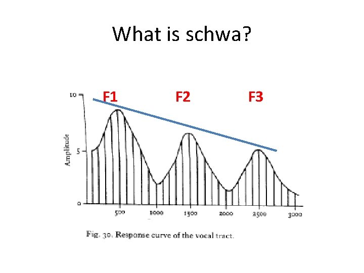 What is schwa? F 1 F 2 F 3 