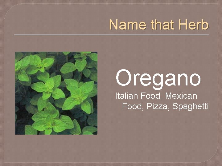 Name that Herb Oregano Italian Food, Mexican Food, Pizza, Spaghetti 