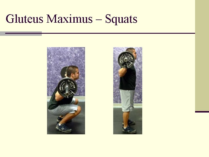 Gluteus Maximus – Squats 