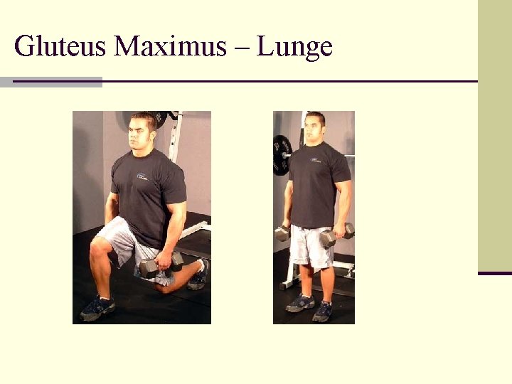 Gluteus Maximus – Lunge 