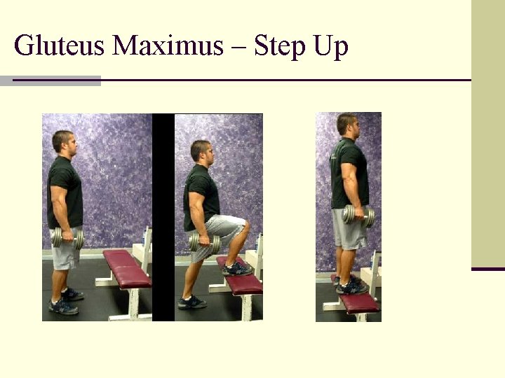 Gluteus Maximus – Step Up 