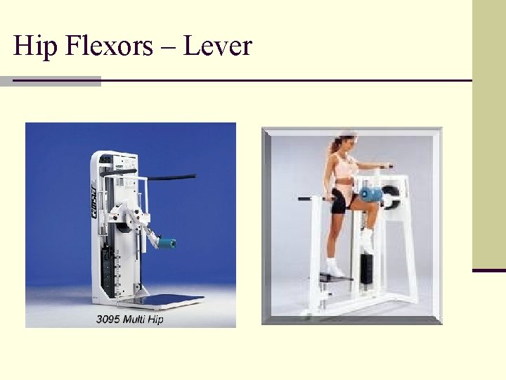 Hip Flexors – Lever 