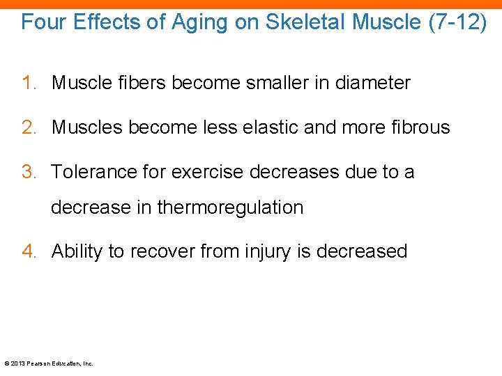 Four Effects of Aging on Skeletal Muscle (7 -12) 1. Muscle fibers become smaller