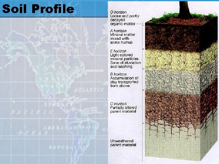 Soil Profile 