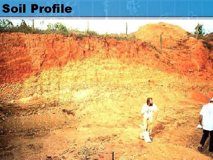 Soil Profile 