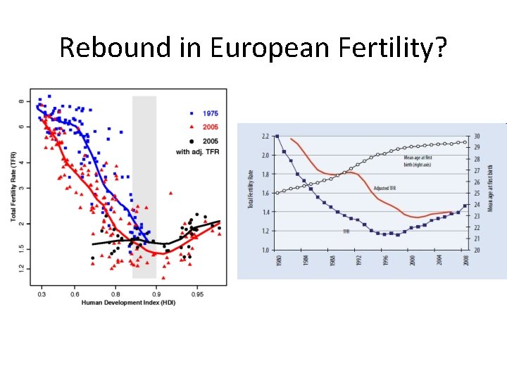 Rebound in European Fertility? 
