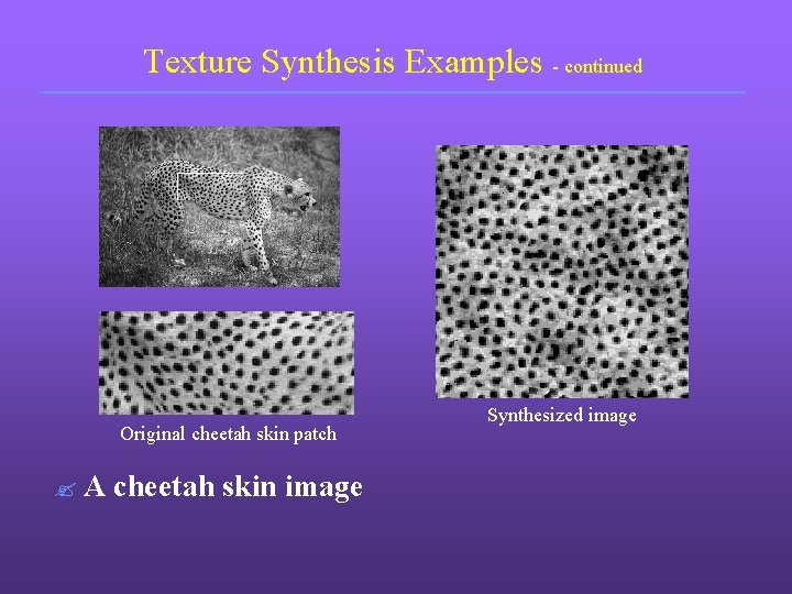 Texture Synthesis Examples - continued Original cheetah skin patch ? A cheetah skin image