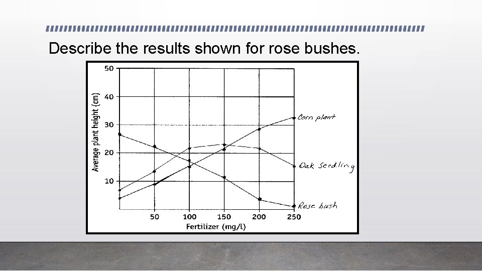Describe the results shown for rose bushes. 