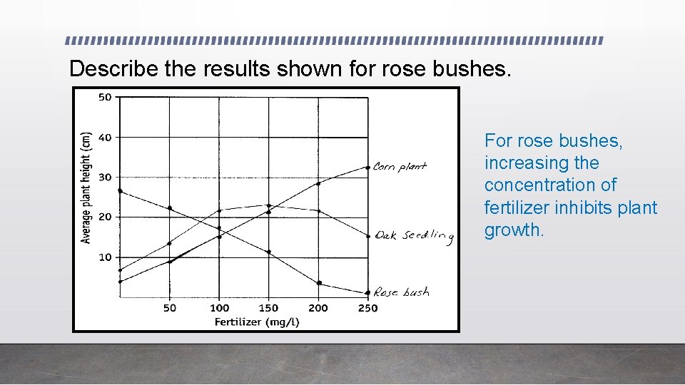 Describe the results shown for rose bushes. For rose bushes, increasing the concentration of