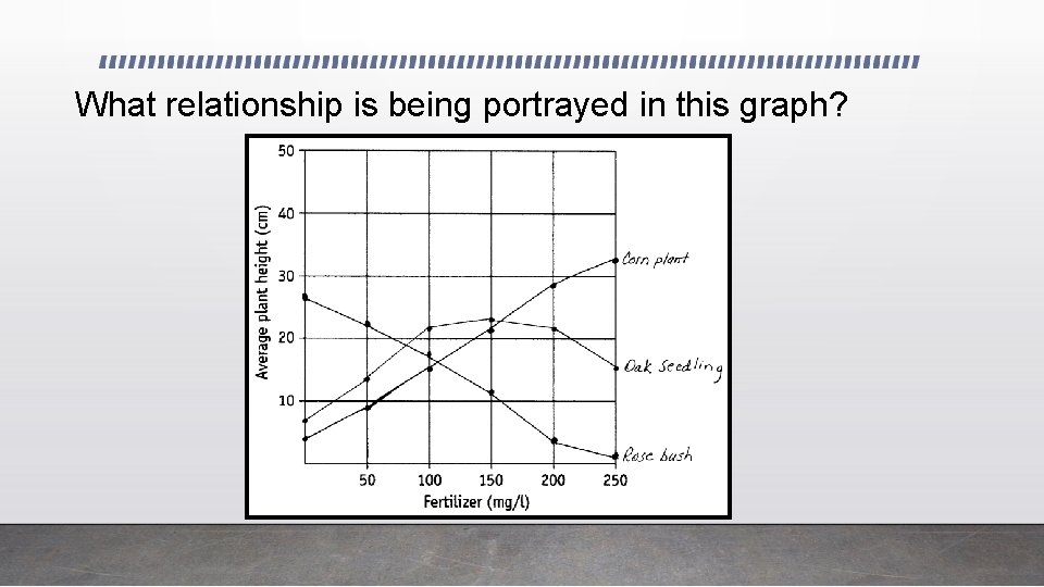 What relationship is being portrayed in this graph? 