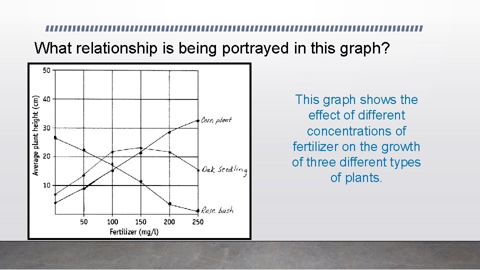 What relationship is being portrayed in this graph? This graph shows the effect of