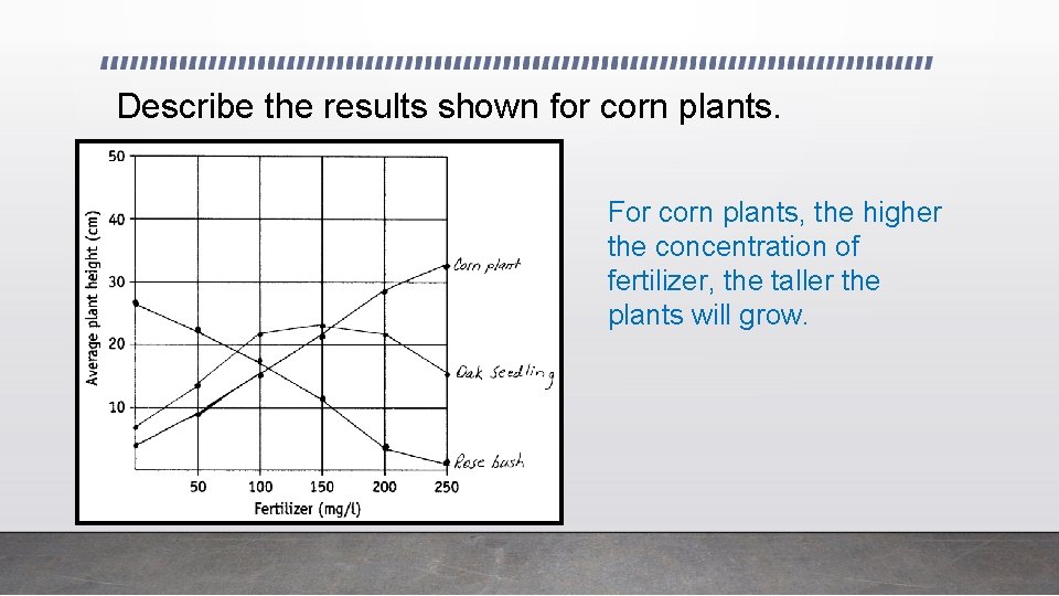 Describe the results shown for corn plants. For corn plants, the higher the concentration