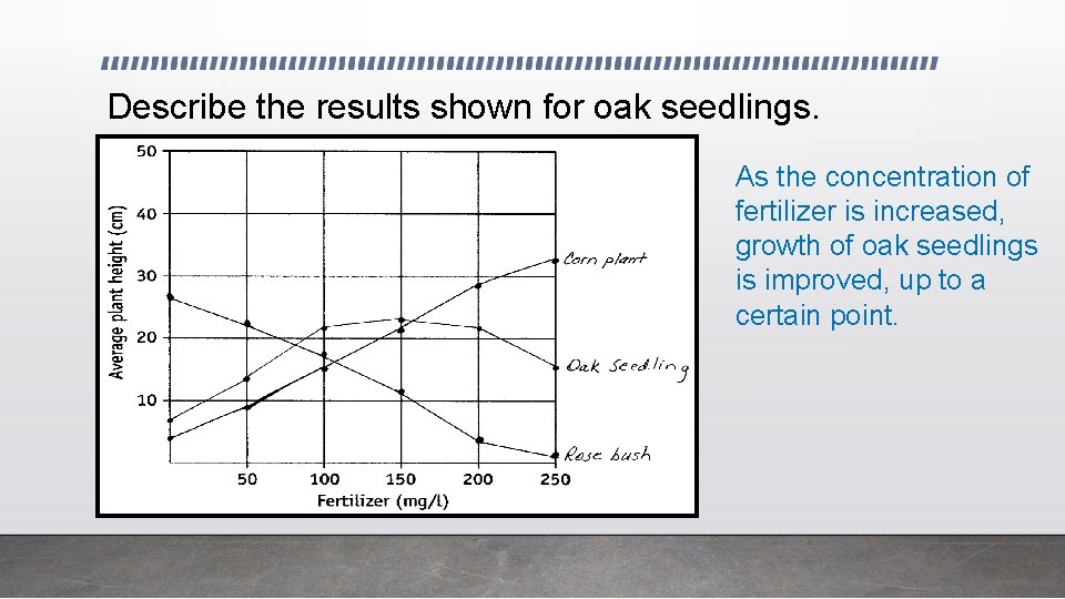 Describe the results shown for oak seedlings. As the concentration of fertilizer is increased,