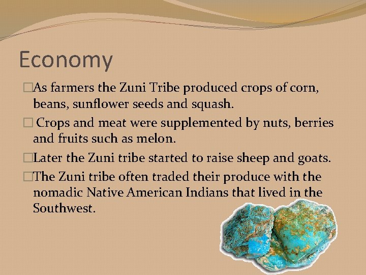 Economy �As farmers the Zuni Tribe produced crops of corn, beans, sunflower seeds and