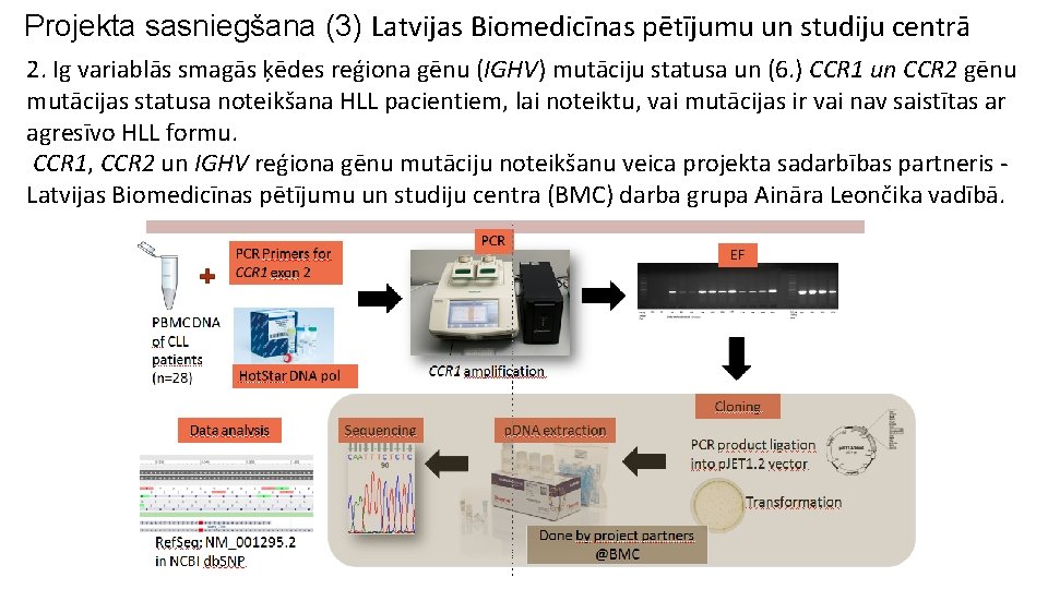 Projekta sasniegšana (3) Latvijas Biomedicīnas pētījumu un studiju centrā 2. Ig variablās smagās ķēdes