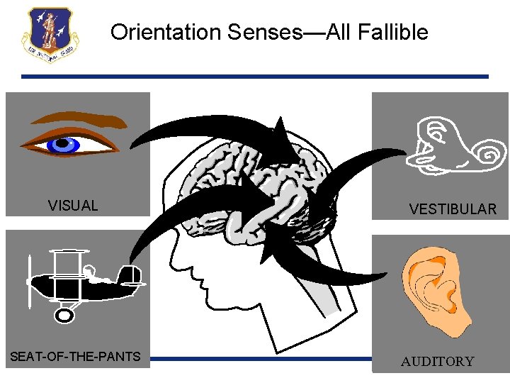 Orientation Senses—All Fallible VISUAL SEAT-OF-THE-PANTS VESTIBULAR AUDITORY 