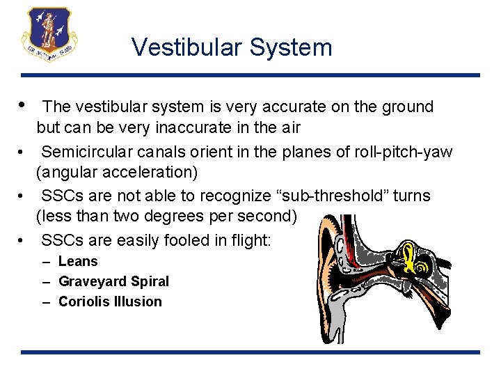 Vestibular System • The vestibular system is very accurate on the ground but can